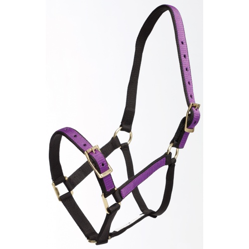 544066 overlay halter